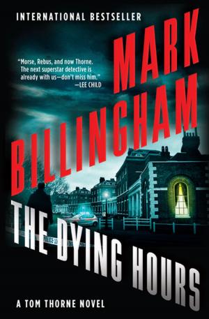 Cover of the book The Dying Hours by Stephen Batchelor