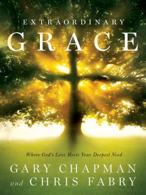 Cover of the book Extraordinary Grace by J. Paul Nyquist