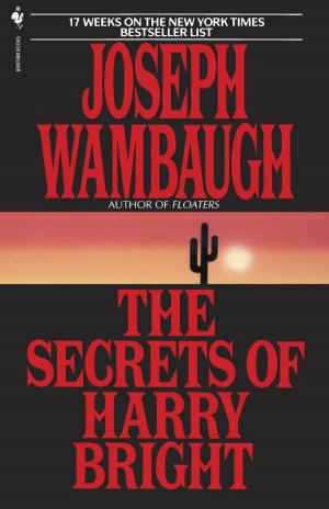 Cover of the book The Secrets of Harry Bright by Laura Andersen