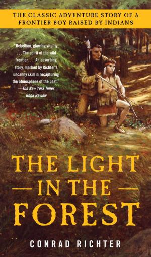 Cover of the book The Light in the Forest by Richard Russo