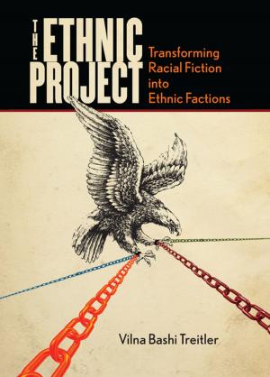 bigCover of the book The Ethnic Project by 