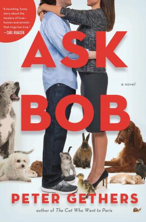Cover of the book Ask Bob by Harriet McBryde Johnson