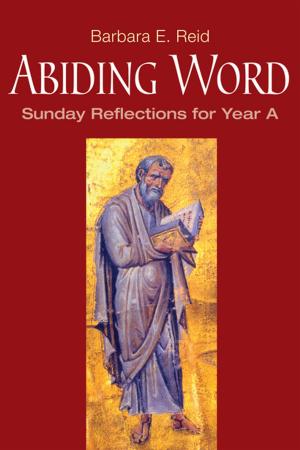 Cover of the book Abiding Word by Brendan Byrne SJ