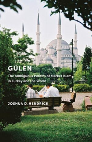 Cover of the book Gülen by Elaine Ecklund, Anne E. Lincoln