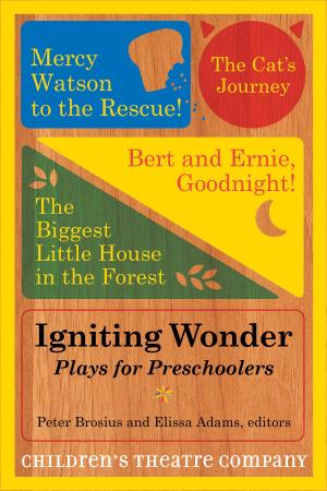 Cover of the book Igniting Wonder by David Cecchetto