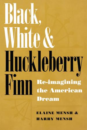 Cover of the book Black, White, and Huckleberry Finn by J. Whitfield Gibbons, Anne R. Gibbons