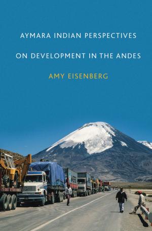 Cover of the book Aymara Indian Perspectives on Development in the Andes by Frye Gaillard, Sheila Hagler, Peggy Denniston