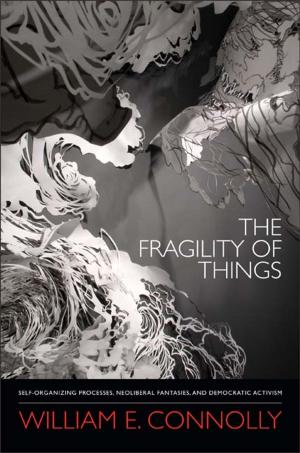 Cover of the book The Fragility of Things by James Kincaid