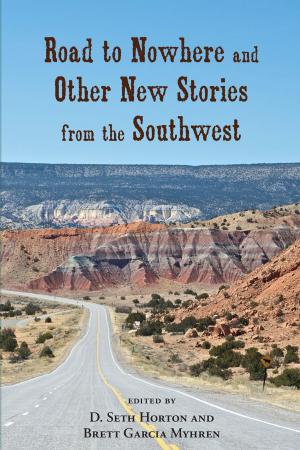Cover of the book Road to Nowhere and Other New Stories from the Southwest by Elinore M. Barrett