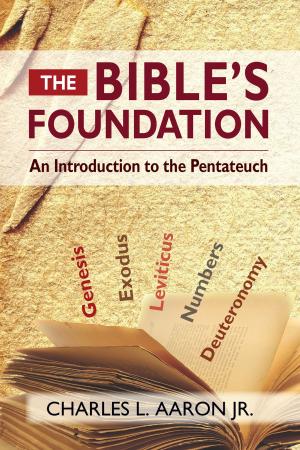 Cover of the book The Bible's Foundation by Alexander Soltys Jones
