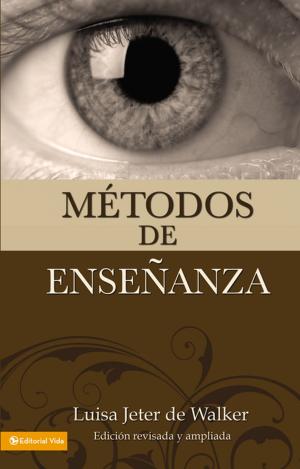 Cover of the book Métodos de enseñanza (nueva edición) by Eliezer Ronda, Esteban Obando