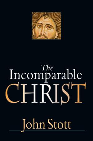 Cover of the book The Incomparable Christ by Paul Borthwick, Dave Ripper