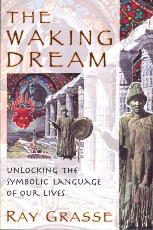 Cover of the book The Waking Dream by Russell Targ PhD