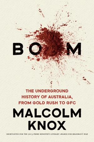 Cover of the book Boom by Roger McGough