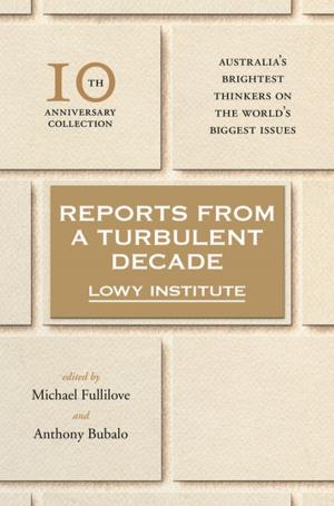 Book cover of Reports from a Turbulent Decade