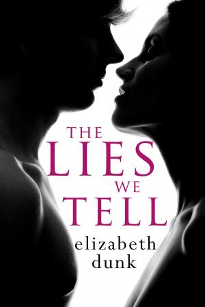 Cover of the book The Lies We Tell by Kara Abbington