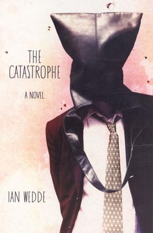 Cover of the book The Catastrophe by Bridget van der Zijpp
