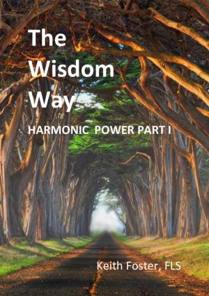 Cover of the book The Wisdom Way HARMONIC POWER Part I by CLAIRE MYKAEL