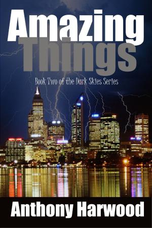 Cover of the book Amazing Things: Book Two of the Dark Skies Series by Sara Reinke