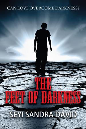 Cover of the book The Feet Of Darkness by M.P.  McDonald