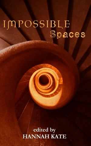 Cover of the book Impossible Spaces by Rosetta M. Overman