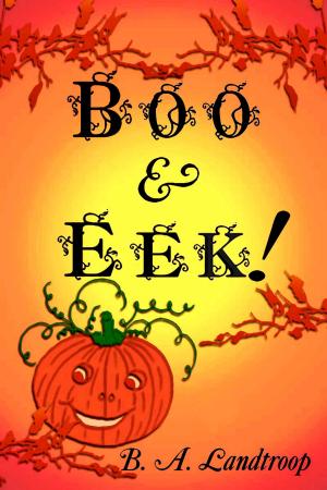 Book cover of Boo & Eek