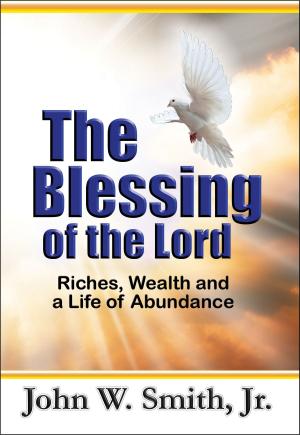 Cover of the book The Blessing of the Lord by Daniel O. Ogweno