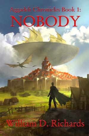 Book cover of Aggadeh Chronicles Book 1: Nobody