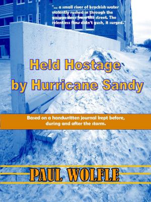 Book cover of Held Hostage By Hurricane Sandy