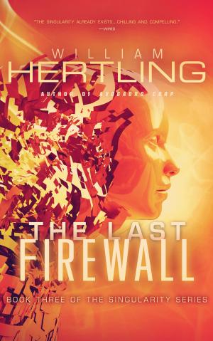Book cover of The Last Firewall