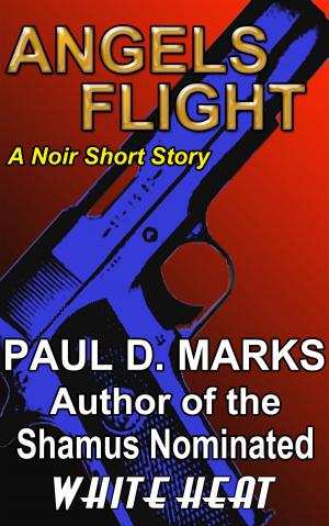 Cover of the book Angels Flight: A Noir Short Story by Christine Cook