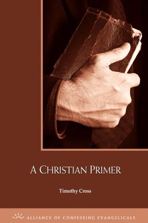 Cover of the book A Christian Primer by Robert Godfrey