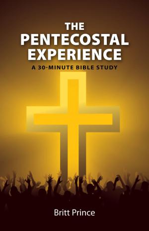 Cover of The Pentecostal Experience