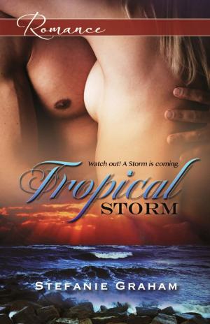 Cover of the book Tropical Storm by Leigh James