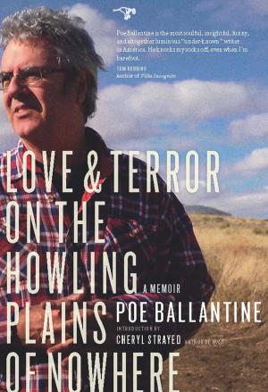 Cover of the book Love and Terror on the Howling Plains of Nowhere by Janet Sternburg
