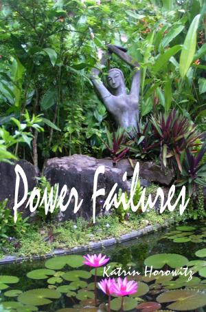 Cover of the book Power Failures by Louise Titchener