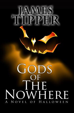 Cover of the book Gods of The Nowhere: A Novel of Halloween by Sydney Bristow