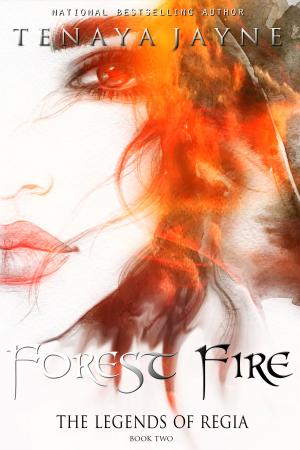 bigCover of the book Forest Fire by 