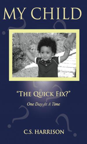Cover of the book My Child "The Quick Fix?" by Jenni Ho-Huan