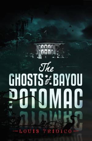 Cover of the book The Ghosts of Bayou Potomac by Michelle White