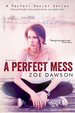 Cover of the book A Perfect Mess by Zoe Dawson