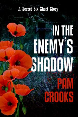 Cover of the book In the Enemy's Shadow by Caroline Grebbell