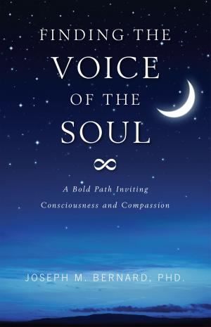 Book cover of Finding The Voice of the Soul