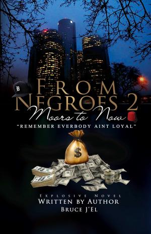 Cover of the book From Negroes 2 Moors to Now by Street Poet