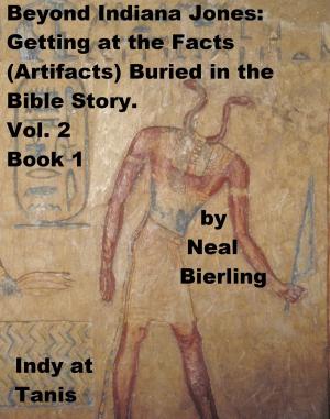 Book cover of Beyond Indiana Jones: Getting at the Facts (Artifacts) Buried in the Bible Story. Vol. 2, Book 1
