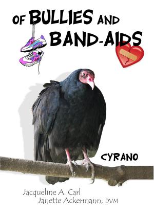 Book cover of Of Bullies and Bandaids