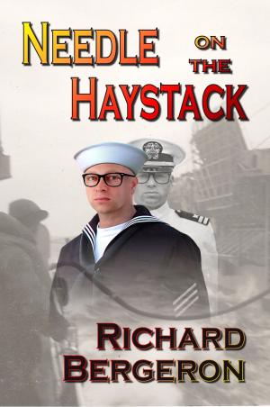 Cover of the book Needle on the Haystack by CLEBERSON EDUARDO DA COSTA
