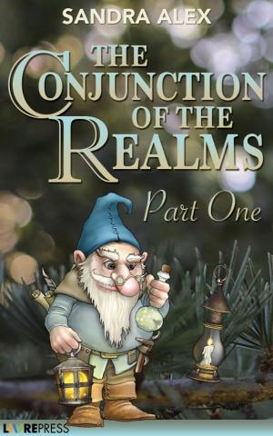 Cover of the book The Conjunction of the Realms (Part One) by Valerie Zambito