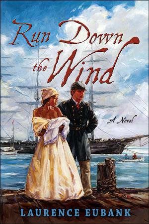 Cover of the book RUN DOWN THE WIND by Annie West