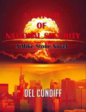 Cover of the book A Matter of National Security by Aaron Rosenberg